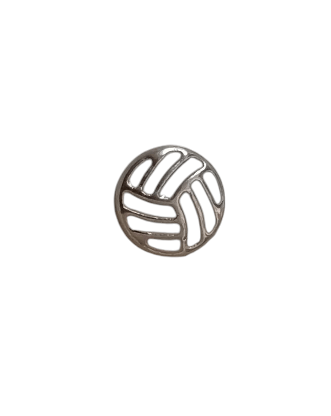 Pelota de Voleibol - nenagosling