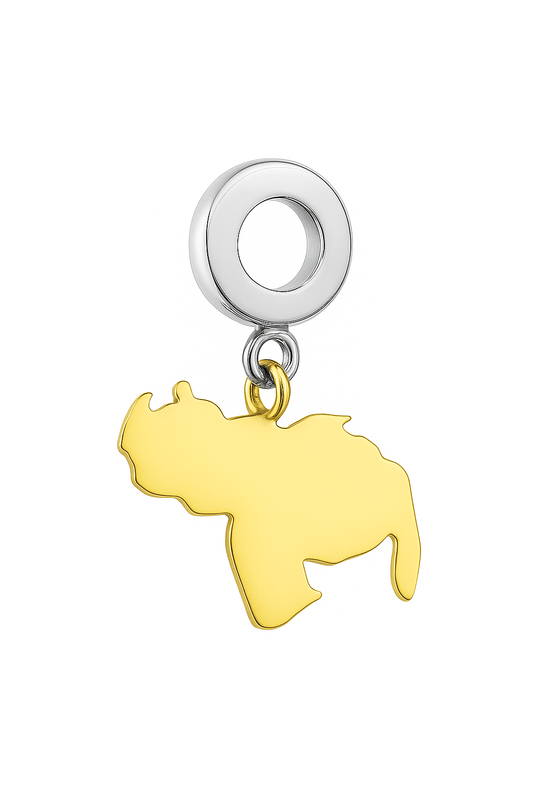 Dije Colgante Externo – Mapa de Venezuela - nenagosling